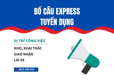 Hà Nội tuyển dụng nhân viên khai thác hàng hóa, nhân viên kho chuyển phát nhanh